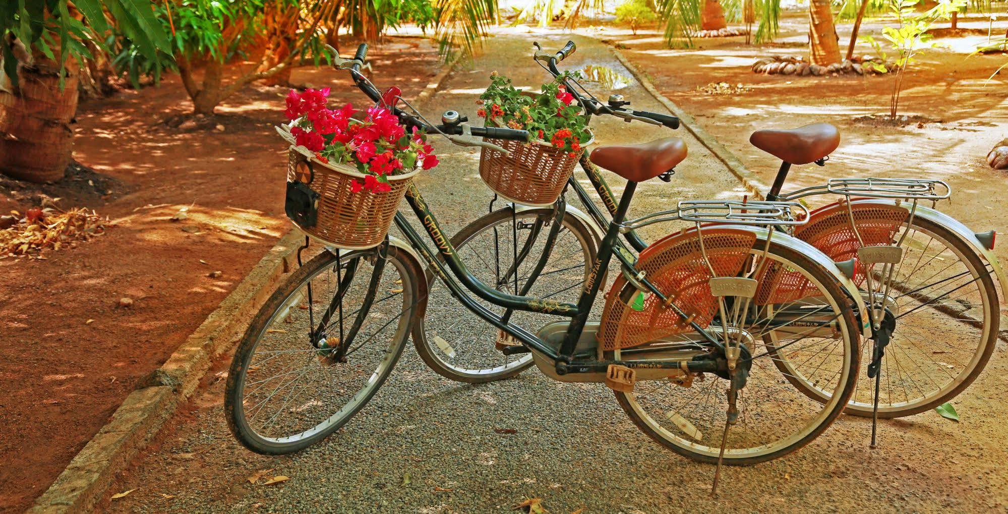 Heina Nature Resort - Eco Home And Yala Safari Kataragama Kültér fotó