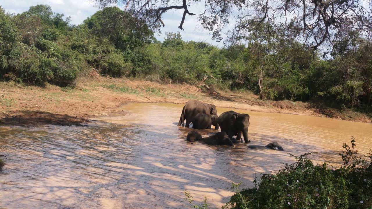Heina Nature Resort - Eco Home And Yala Safari Kataragama Kültér fotó
